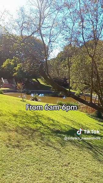 Hidden Picnic Spot in Houghton: Nature Reserve Exploration