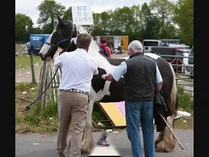 Appleby Fair 2011