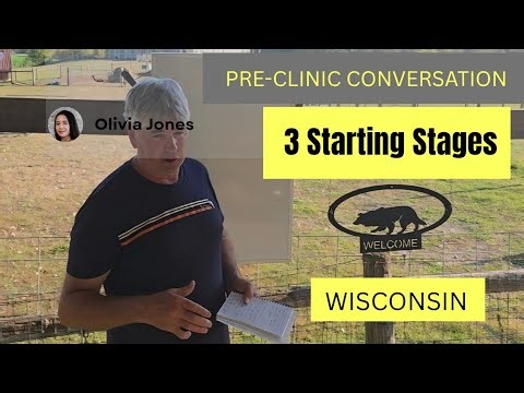 Border Collie training clinic, the introduction outline