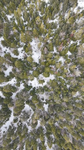 5.6K views · 26 reactions | Le Club Ski-Doo Elan Charlevoix sur La Noyée #motoneige #skidooelan | LaMotoneige.net | Facebook