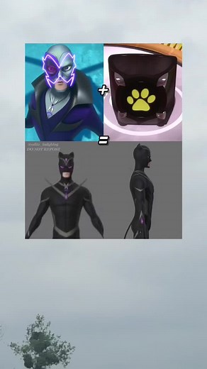 Shadow Moth and Cat Miraculous Explained in Detail