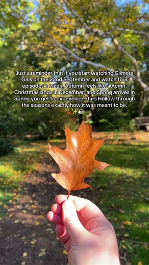 Start Gilmore Girls Today & Watch the Seasons Change With Stars Hollow 🍂☕️