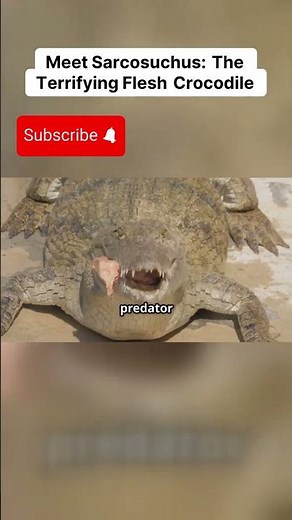 Meet Sarcosuchus: The Terrifying Flesh Crocodile
