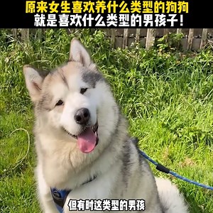 367K views · 9.1K reactions | 从爱犬到爱人：原来你养的狗狗，就是你理想型的缩影！ #fblifestyle | 增强知识3 | Facebook