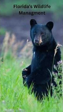 Private Landowners Are Changing Florida Wildlife Management