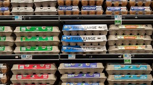 Some cheaper egg alternatives may be healthy but don't match an egg's nutritional value