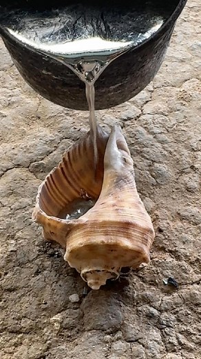 3.8K views | Creative metal art from recycled aluminum #diy #reels #fb #fyp #fypシ #reel #restoration #viralvideo #viral #video #foryou #newfeed #pageforyou #diy #restore #art #reelsviralfb #fbreelsvideo #virals #viralpost #viralpost2024 #diycrafts #craft #crazy #satisfying #tiktok #tiktokviral #tips #tools | Mildred Tolson | Facebook