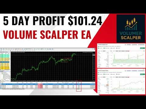 Volume Scalper MT4 EA Review | $101.24 Profit in 5 Days | Forex Robot Test