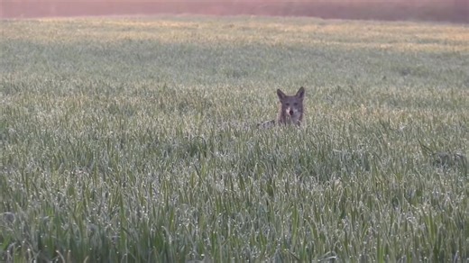 Amazing air time | A1