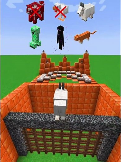 My World Creature Challenge! Which Mob Can Pass Through Bedrock Fence? (Part 2) 😱🔥**