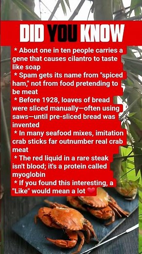 5 fun facts you should know! 🧠