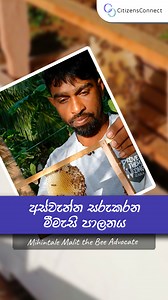 181K views · 1.8K reactions | මේ මිහින්තලේ මලිත්.එයා විශේෂ විදියකට මී...