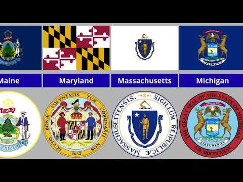 All 50 U.S. State Flags & Seals