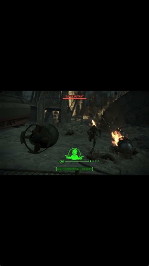 Fallout 4 - Overkill 68