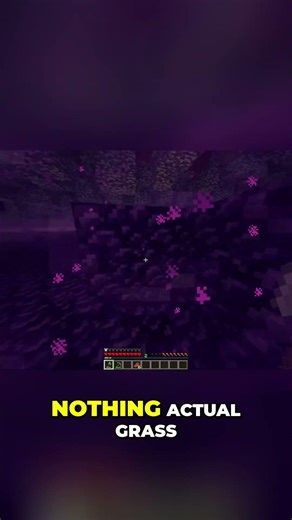 Wither Boss Spawned Right After Portal Jump #minecraft #shorts #challenge