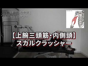 【スカルクラッシャー】上腕三頭筋・内側頭のトレーニング【バズーカ岡田の筋肉事典】