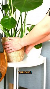 Design Evolution | From Stool To Art | 2025