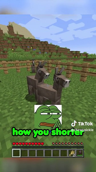 Funny Cheap Pickle Minecraft Meme Compilation