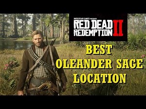 Red Dead Redemption 2 Best Oleander Sage Location