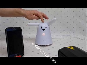 RabbitPi - The Raspberry Pi Digital Assistant