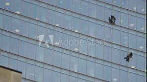 Camera tilts down a high rise building to see two window cleaners cleaning the windows
