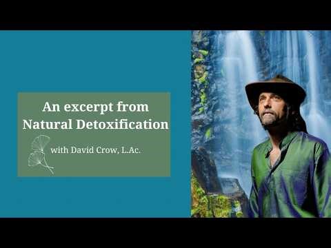 Natural Detox - an Excerpt from David Crow's Class