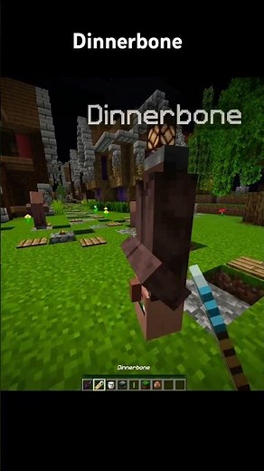 MIND-BLOWING Dinnerbone Villager in Minecraft Gameplay