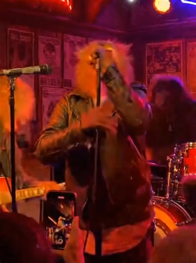 Ultra-Realistic Monkey Rock Concert in a Crowded Bar