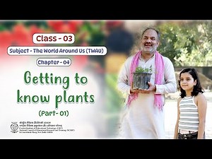 NCERT Textbooks CL 3 EVS Eng || CH 4 GETTING TO KNOW PLANTS