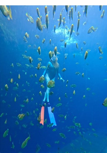Exploring Bluegill Habitats Underwater