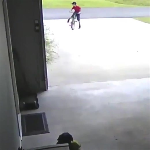 Boy runs into neighbour's garage to hug #dog