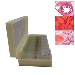 50pcs/Set Mixed Histology Slides Set Histology Prepared Microscope Slides