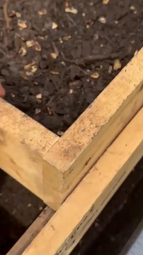 Serious about worm farming? Time to level up. DIY might have gotten you started, but if you're harvesting regularly, Turbo Sift™ keeps your workflow clean, fast, and consistent. 👉 http://wormgear.com/products/turbo-sift #worms #composting #vermicompost #livingsoil #vermiculture #vermicomposting #compost #organicgardening #redwigglers #wormfarming #makecompostmainstream | Wormgear