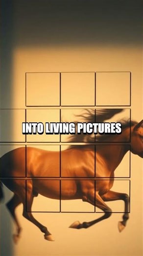 Frames Before Cinema The Muybridge Moment