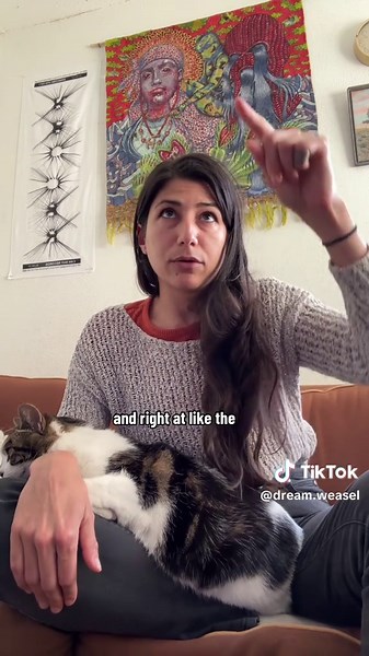 Misterio en la habitación de Katie