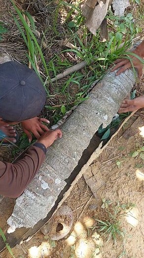 12K views · 47 reactions | "Wow, there are so many | Zain Malik | Facebook