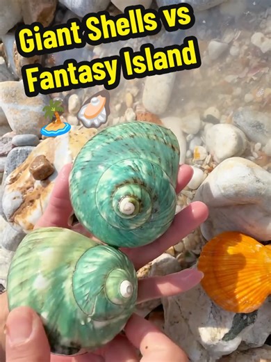 Giant Shells vs Fantasy Island