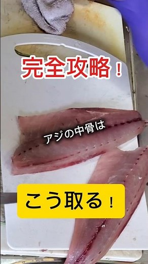 完全攻略！アジの中骨はこう取る