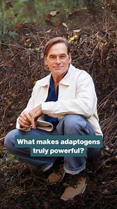Did you know not all herbs labeled as “adaptogens” truly qualify? The term “adaptogen” is thrown around, but few meet the scientific criteria. To be a real adaptogen, they must be non-toxic, improve your body’s resistance to stress, and normalize its balance—no matter if you’re running on empty or overstimulated. Here’s the kicker: adaptogens don’t work like caffeine or stimulants. They work deeper, over time, building resilience at a cellular level. In the latest SuperLife podcast episode, I di