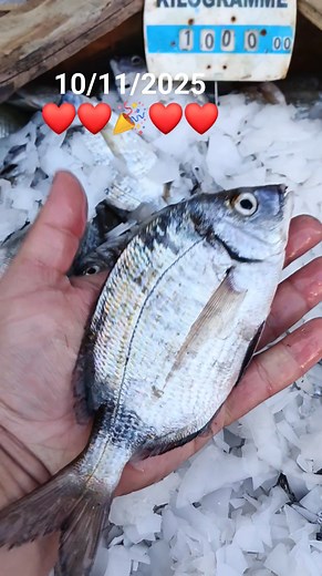 Le Poisson du Jour on Reels