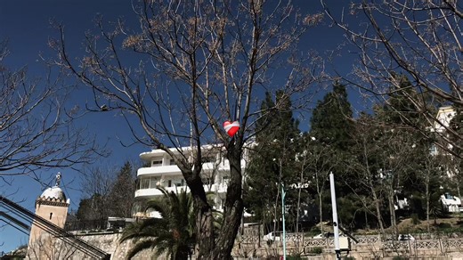 #cette_chanson🤤❤️‍🔥 #شاشة_سوداء_لتصميم🖤🔥🍂 #viral #tiktok #foryou #الشعب_الصيني_ماله_حل😂😂 #fyp #الشاشة_السوداء_عاشقة_الأسود🖤🖤