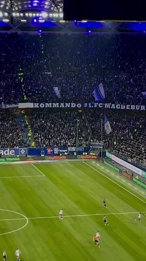 Ultras in action ! FC Magdeburg 🦓🔵⚪🎇 #FCM | Bundesliga Zone