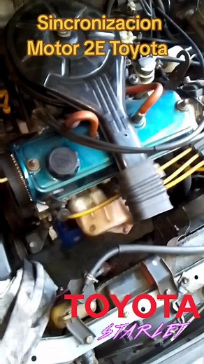 Cuentas recomendadas