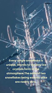 Nature’s Wonders: Intriguing Facts 🌍✨ Please like and follow for more DoseOfScience @doseofsciencenow 🔭💫🌎💭 #earth #earthfacts #science #astonishingfacts #nature #universe #eductional #curiosity | Doseofscience