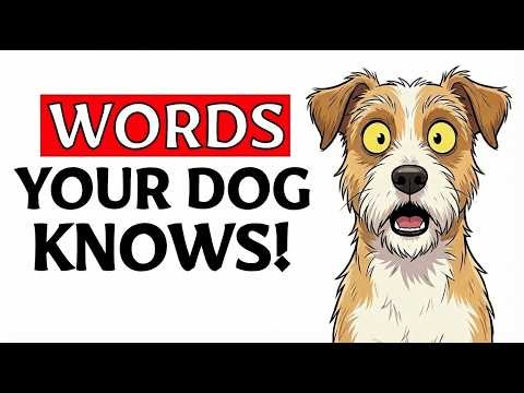The 5 Words Your Dog Actually Understands (According to Science)