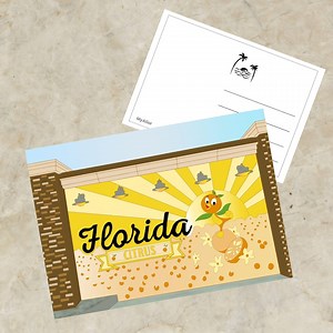 Florida Digital Postcard | Printable Illustration | Florida Map Art - Etsy
