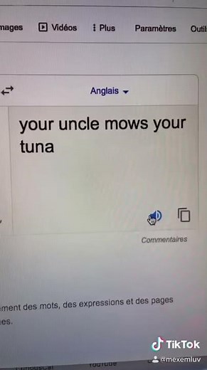 french is a beautiful language - ton ton tonton thon google translate