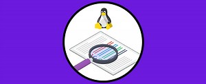 Cómo buscar una Palabra dentro de un Archivo en Linux ✔️