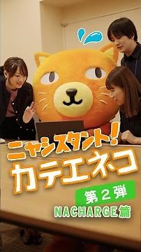 ニャシスタント！カテエネコ【NACHARGE篇】